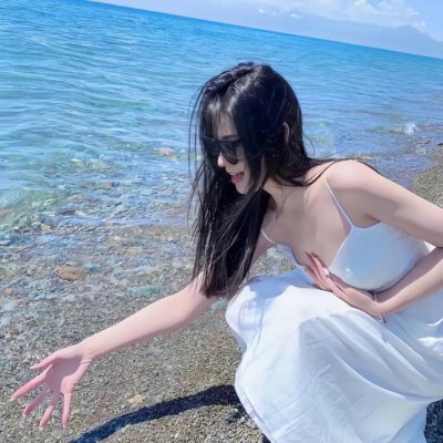 与鲨同游
